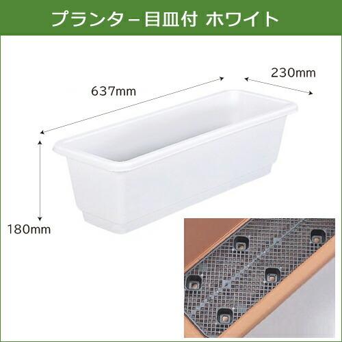 【ポイント10倍】プランタ−目皿付 ホワイト 24個セット 家庭菜園 菜園コンテナ 野菜栽培 ガーデニング_2