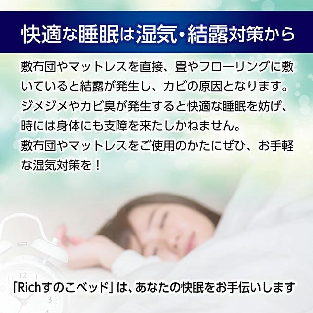 Richすのこベッド レギュラーサイズ スノコベッド バージンプラスチック製 連結 パレット ベッド｜sy-sukedati2｜03