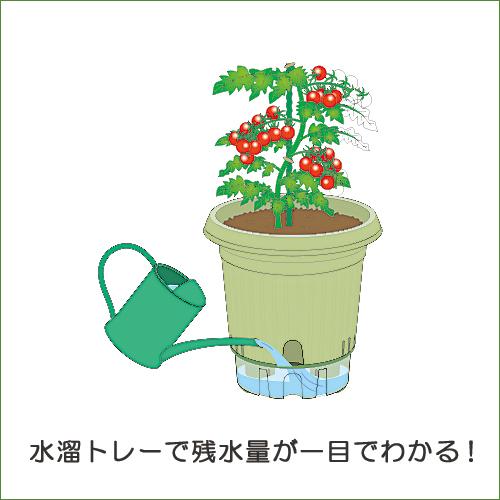 給水式菜園ポット360型 家庭菜園 菜園コンテナ 植木鉢 深型ポット 野菜栽培 お得な2個セット |  | 03