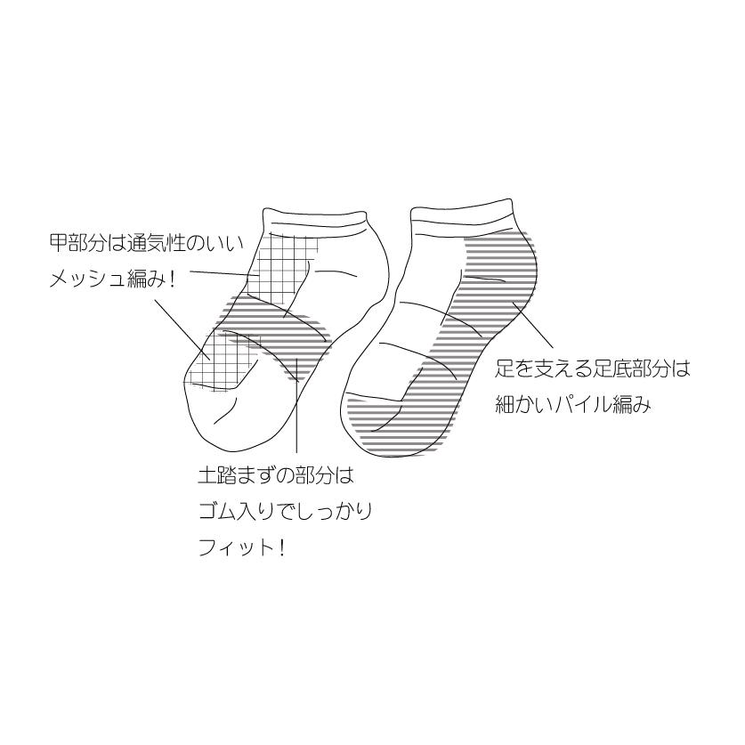【送料無料】通気性抜群　スニーカーソックス　靴下 |  | 07