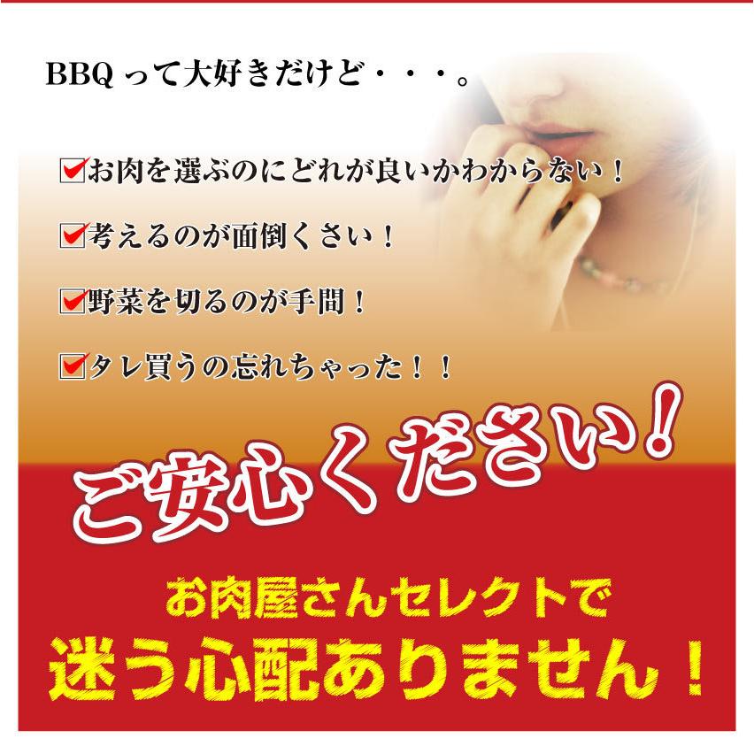 焼肉 セット 牛肉 肉 バーベキュー メガ盛り 野菜付 6〜8人前 BBQ 焼くだけ 福袋 グルメ 母の日 父の日 ギフト 食品 プレゼント キャンプ キャンプ飯｜syabumaru｜06