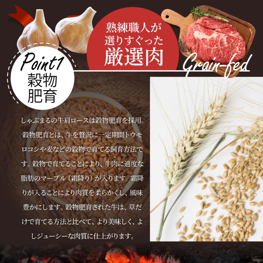 オージー 焼肉 牛肉 肉 スパイシー ガーリック ステーキ 1ポンド ワンポンド ワンポンドステーキ 牛肩ロース 450g メガ 熟成肉 BBQ グルメ キャンプ キャンプ飯｜syabumaru｜14