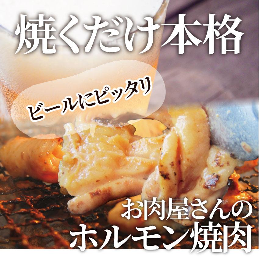 焼肉 牛肉 肉 アカセン ホルモン 1kg 200g×5袋 タレ漬け あかせん ギアラ ぎあら 焼くだけ 焼肉用 BBQ キャンプ キャンプ飯｜syabumaru｜02