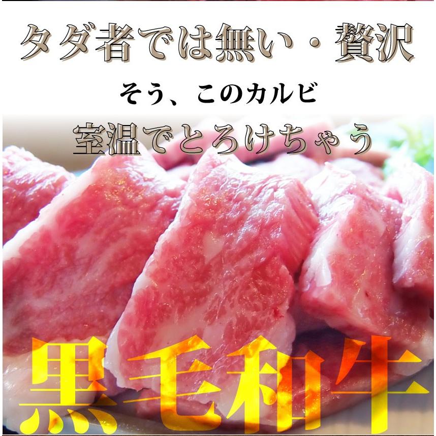 牛肉 肉 特選 黒毛和牛 カルビ 焼肉 A4,A5ランク 250g 凍眠 テクニカン グルメ 母の日 父の日 ギフト 食品 プレゼント 女性 男性 お祝い 新生活｜syabumaru｜02