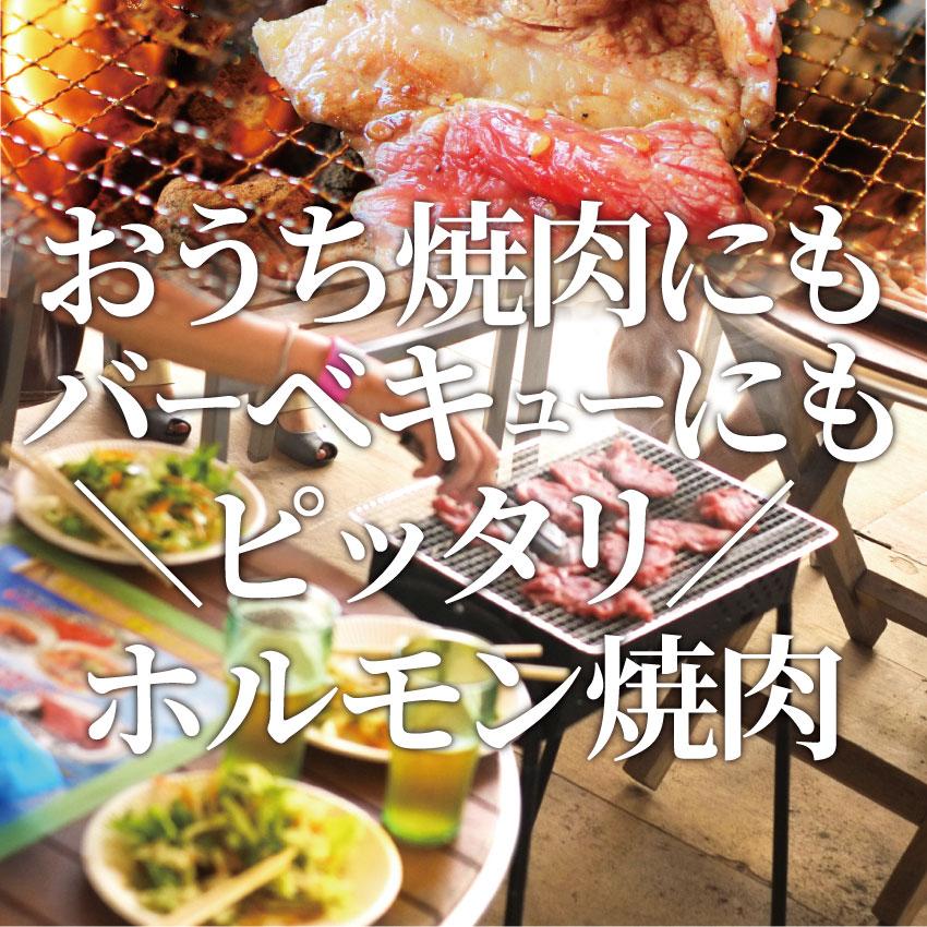 焼肉 牛肉 肉 牛カルビ タレ漬け 1kg 200g×5袋 バラ かるび BBQ 惣菜 焼くだけ キャンプ キャンプ飯｜syabumaru｜08