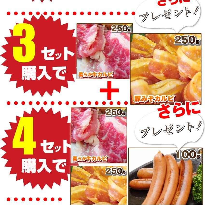 焼肉 セット 豚肉 肉 豚カルビ 5人前 150g×5パック 750g 選べる 3つの味 味噌 チゲ 塩 小分け タレ漬け 焼くだけ｜syabumaru｜11