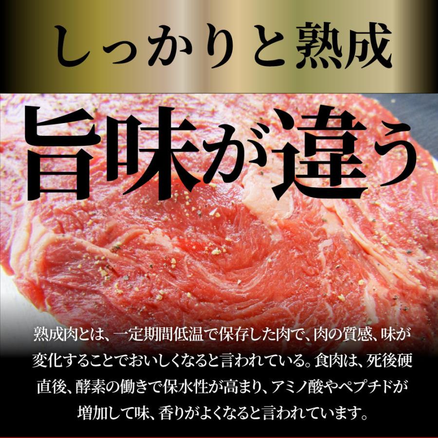 オージー 牛肉 肉 焼肉 鬼スパイシーひとくちガーリックステーキ 250g 赤身 ロース 贅沢 おトク お徳用 あす楽 肉 通販 グルメ アウトドア お家焼肉｜syabumaru｜07