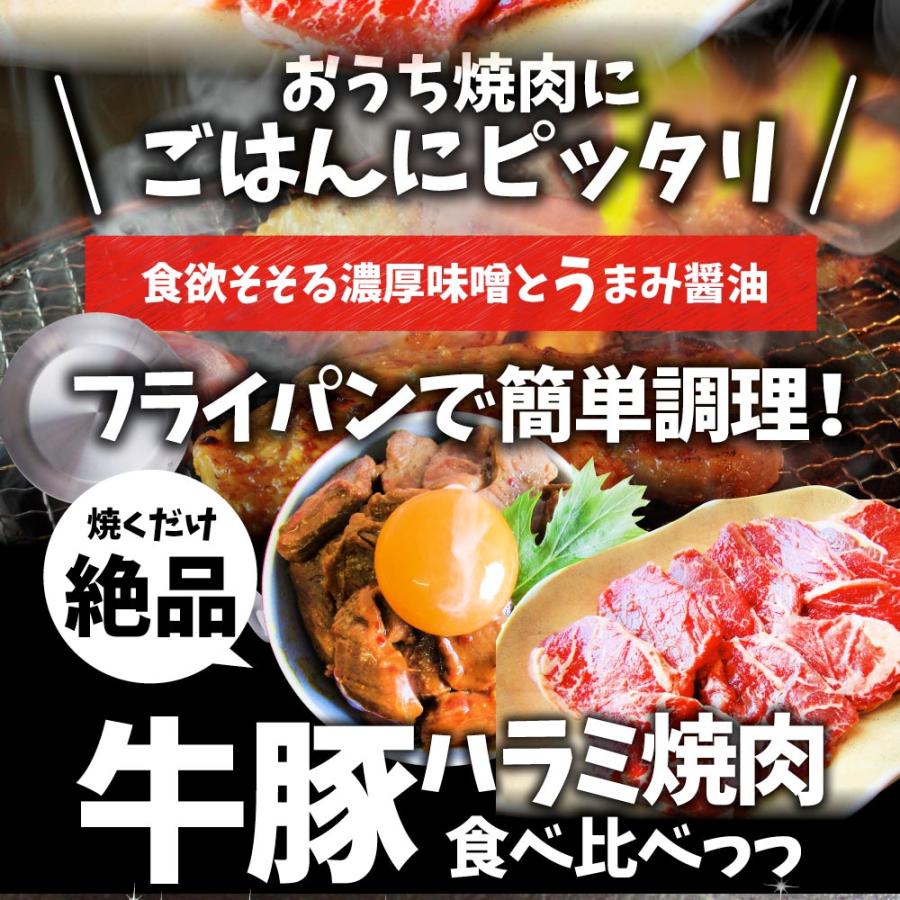 ハラミ 食べ比べ 牛肉 豚肉 焼肉 10kg 250g× 40P メガ盛り 赤身 はらみ バーベ キュー 美味しい 母の日 父の日 ギフト 食品 プレゼント 女性 男 性 お祝い｜syabumaru｜02