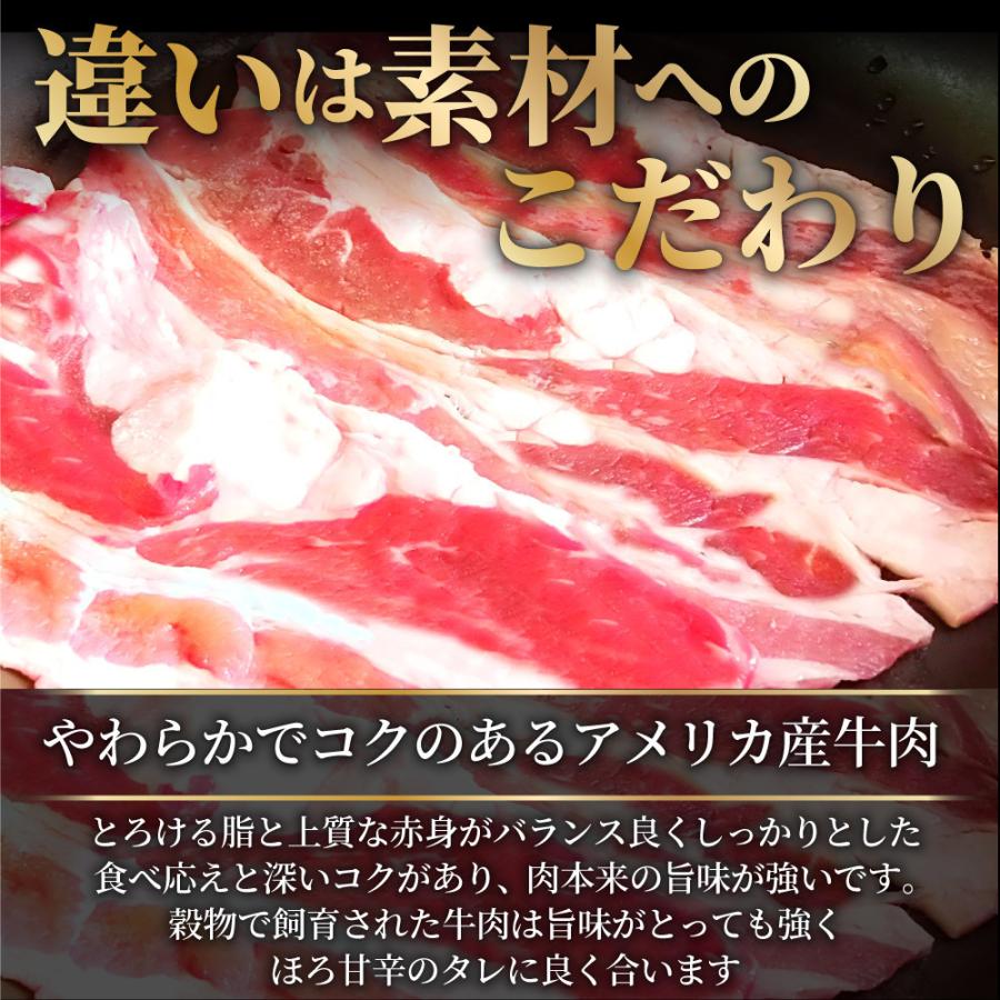牛丼 牛丼の具 60個セット お肉屋さんのこだわり たっぷり牛肉の簡単牛丼 1食120g｜syabumaru｜08