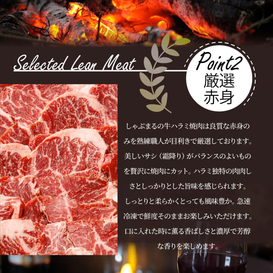 牛ハラミ焼肉（タレ漬け）1.5kg（250g×6） タレ 赤身 はらみ 秘伝 焼肉 やきにく ハラミ アウトドア お家焼肉 BBQ キャンプ キャンプ飯｜syabumaru｜11