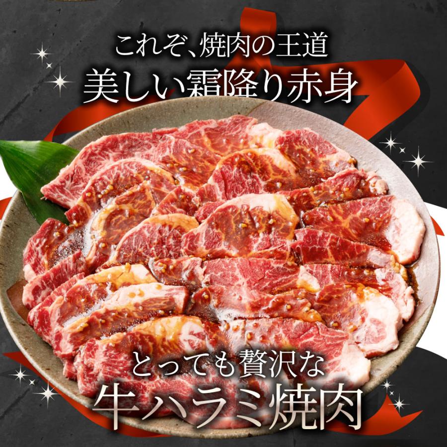 牛ハラミ焼肉（タレ漬け）1.5kg（250g×6） タレ 赤身 はらみ 秘伝 焼肉 やきにく ハラミ アウトドア お家焼肉 BBQ キャンプ キャンプ飯｜syabumaru｜02