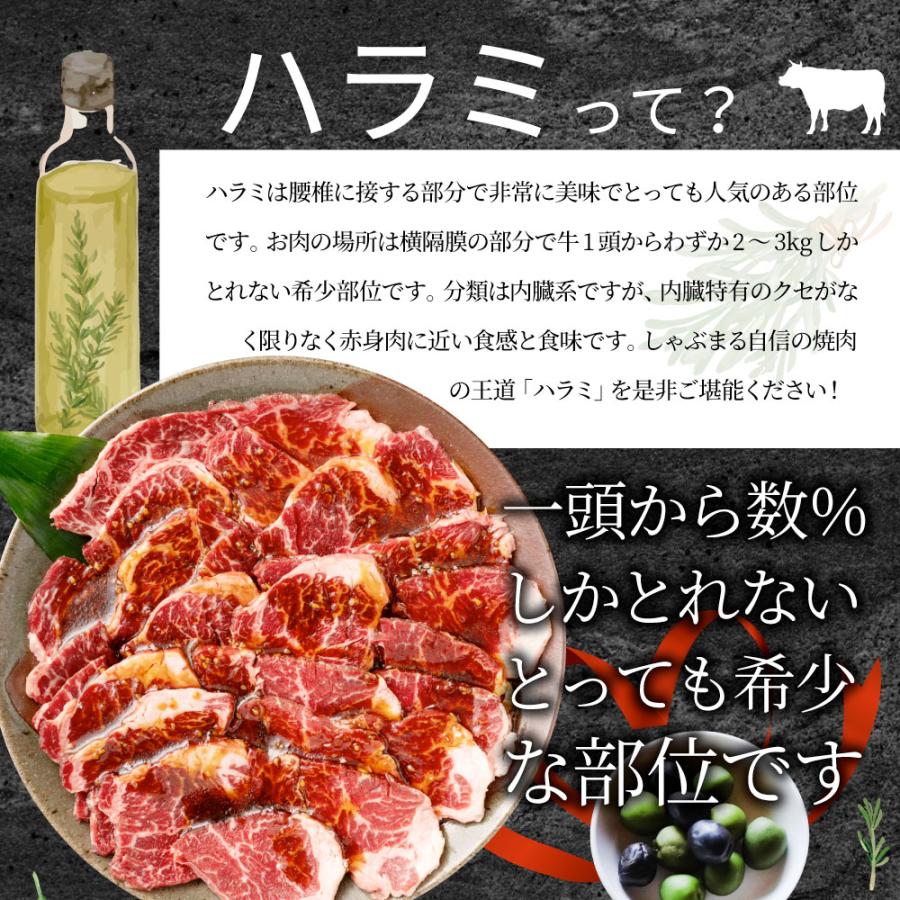 牛ハラミ焼肉（タレ漬け）5kg（250g×20） タレ 赤身 はらみ 秘伝 焼肉 やきにく ハラミ アウトドア お家焼肉 BBQ キャンプ キャンプ飯｜syabumaru｜14