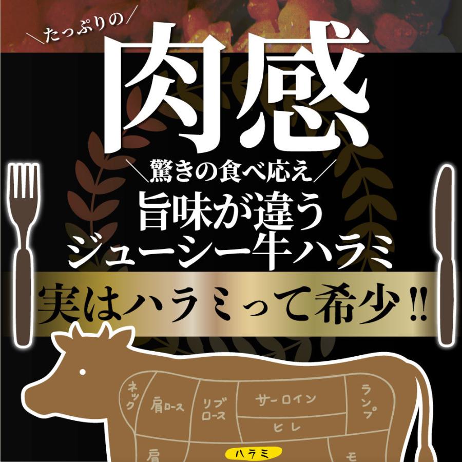 牛ハラミ焼肉（タレ漬け）1kg（250g×4） タレ 赤身 はらみ 秘伝 焼肉 やきにく ハラミ アウトドア お家焼肉 BBQ キャンプ キャンプ飯｜syabumaru｜10