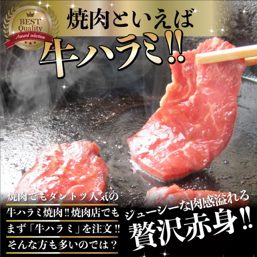 牛肉 肉 ハラミ 焼肉 1.5kg 250g×6P メガ盛り 赤身 はらみ バーベキュー 美味しい 母の日 父の日 ギフト 食品 プレゼント お祝い｜syabumaru｜02