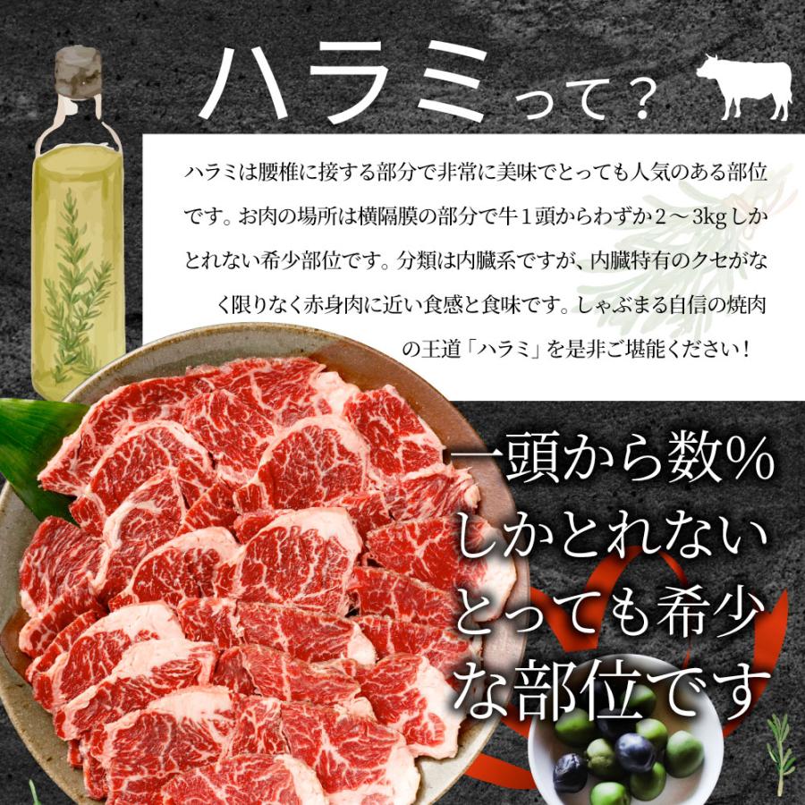 牛肉 肉 ハラミ 焼肉 1.5kg 250g×6P メガ盛り 赤身 はらみ バーベキュー 美味しい 母の日 父の日 ギフト 食品 プレゼント お祝い｜syabumaru｜13