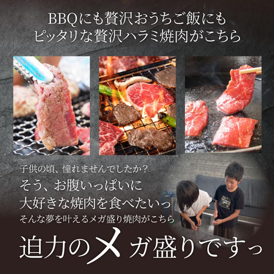 牛肉 肉 ハラミ 焼肉 1.5kg 250g×6P メガ盛り 赤身 はらみ バーベキュー 美味しい 母の日 父の日 ギフト 食品 プレゼント お祝い｜syabumaru｜06