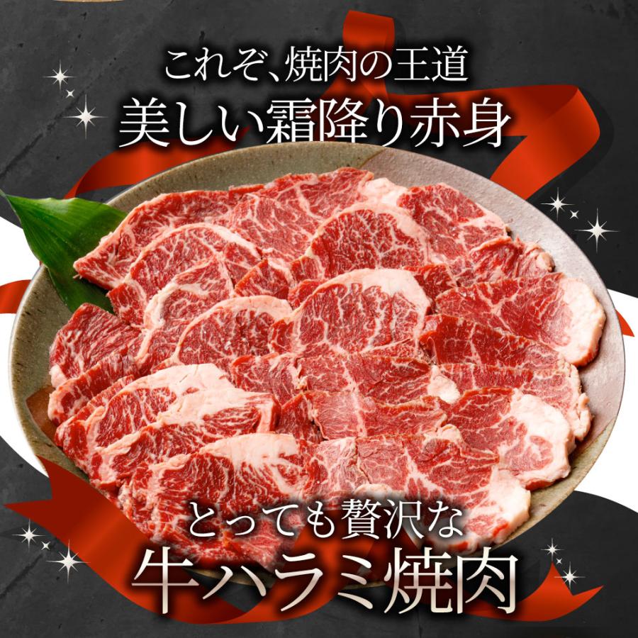 牛肉 肉 ハラミ 焼肉 1kg 250g×4P メガ盛り 赤身 はらみ バーベキュー 美味しい 母の日 父の日 ギフト 食品 プレゼント 女性 男性 お祝い｜syabumaru｜02