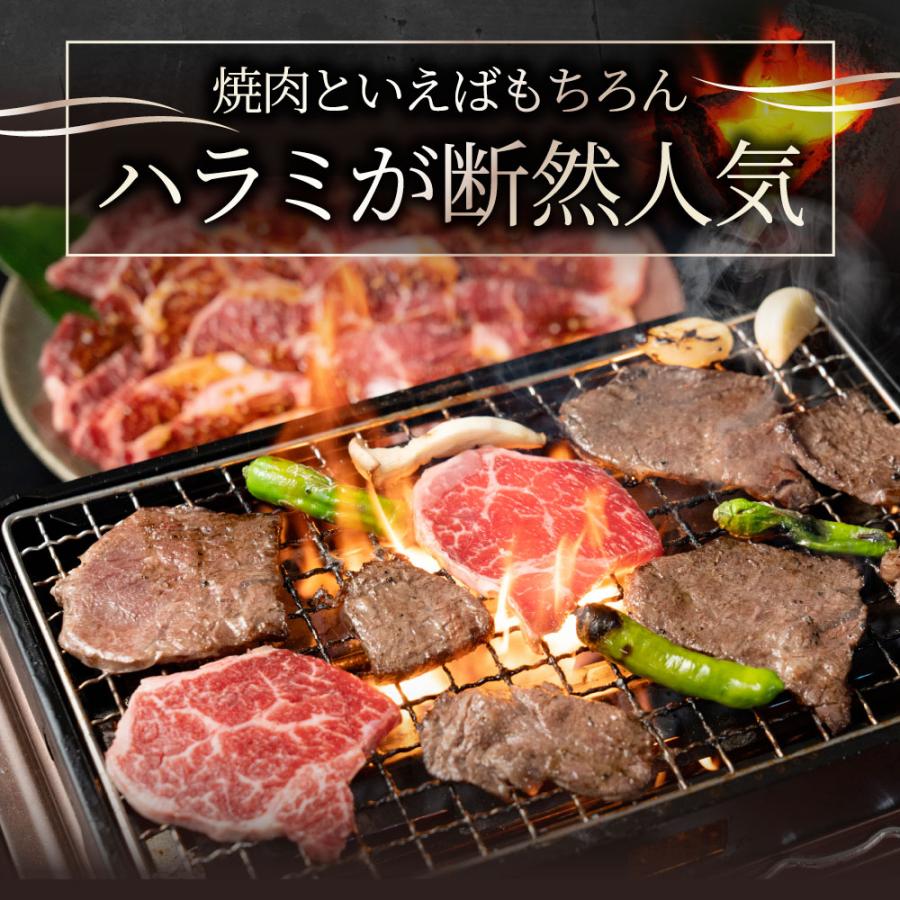 牛肉 肉 ハラミ 焼肉 1kg 250g×4P メガ盛り 赤身 はらみ バーベキュー 美味しい 父の日 御中元 ギフト 食品 プレゼント 女性 男性 お祝い｜syabumaru｜03