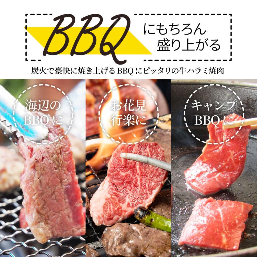 牛肉 肉 ハラミ 焼肉 2kg 250g×8P メガ盛り 赤身 はらみ バーベキュー 美味しい 食品 ギフト プレゼント お祝い 爆買 | しゃぶまる | 14