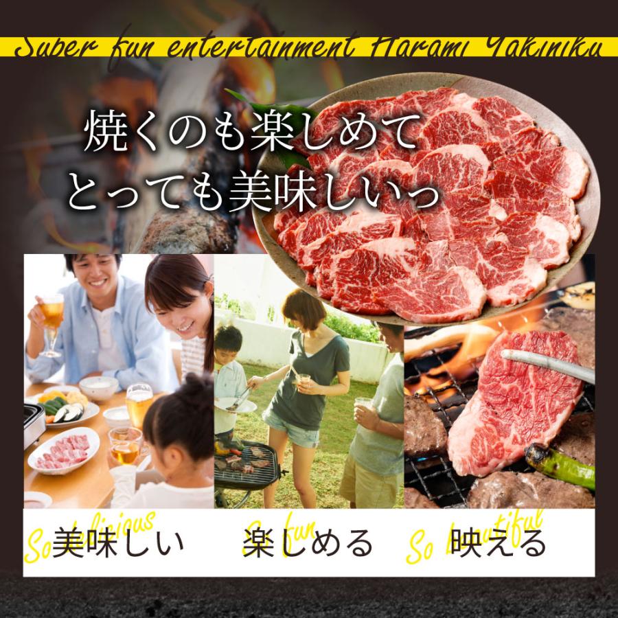 牛肉 肉 ハラミ 焼肉 2kg 250g×8P メガ盛り 赤身 はらみ バーベキュー 美味しい 食品 ギフト プレゼント お祝い 爆買 | しゃぶまる | 16