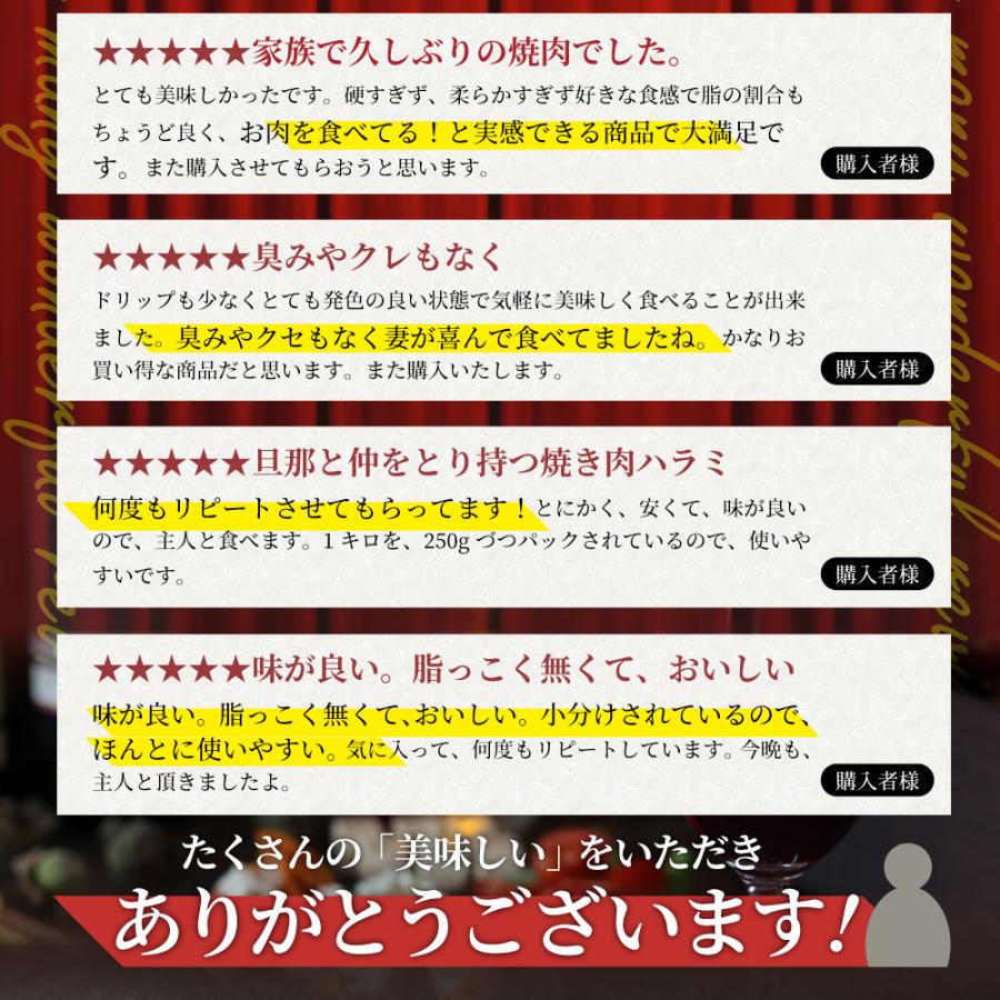 牛肉 肉 ハラミ 焼肉 2kg 250g×8P メガ盛り 赤身 はらみ バーベキュー 美味しい 食品 ギフト プレゼント お祝い 爆買 | しゃぶまる | 04