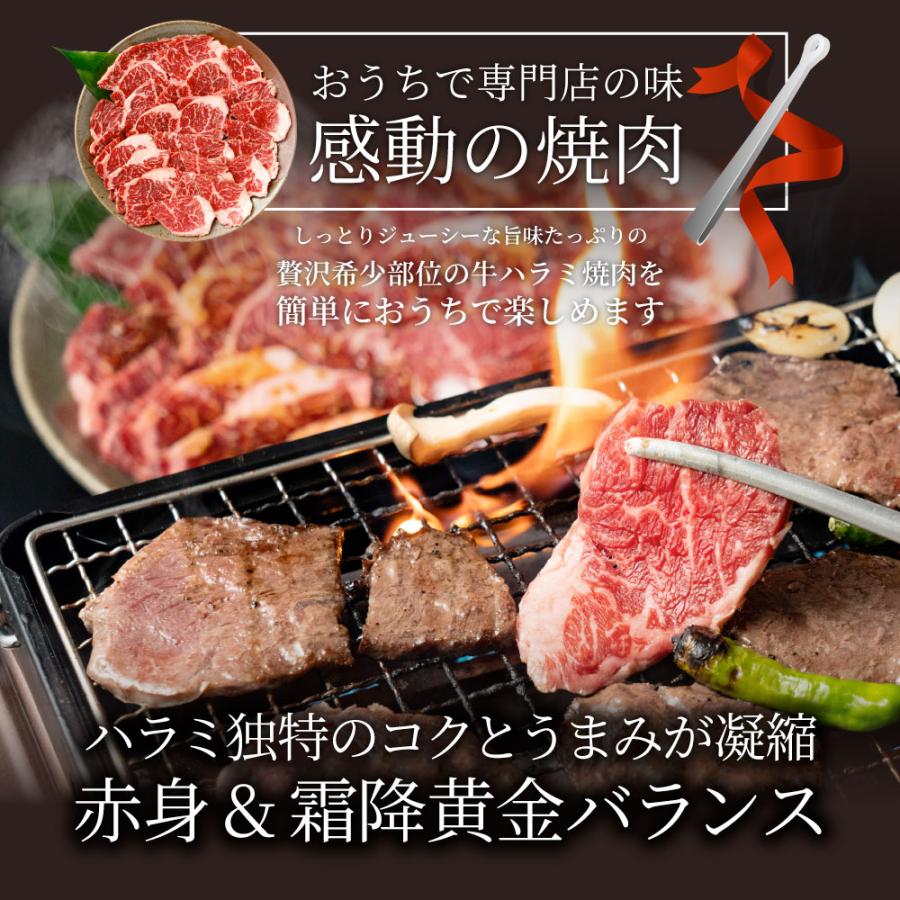 牛肉 肉 ハラミ 焼肉 2kg 250g×8P メガ盛り 赤身 はらみ バーベキュー 美味しい 食品 ギフト プレゼント お祝い 爆買 | しゃぶまる | 06