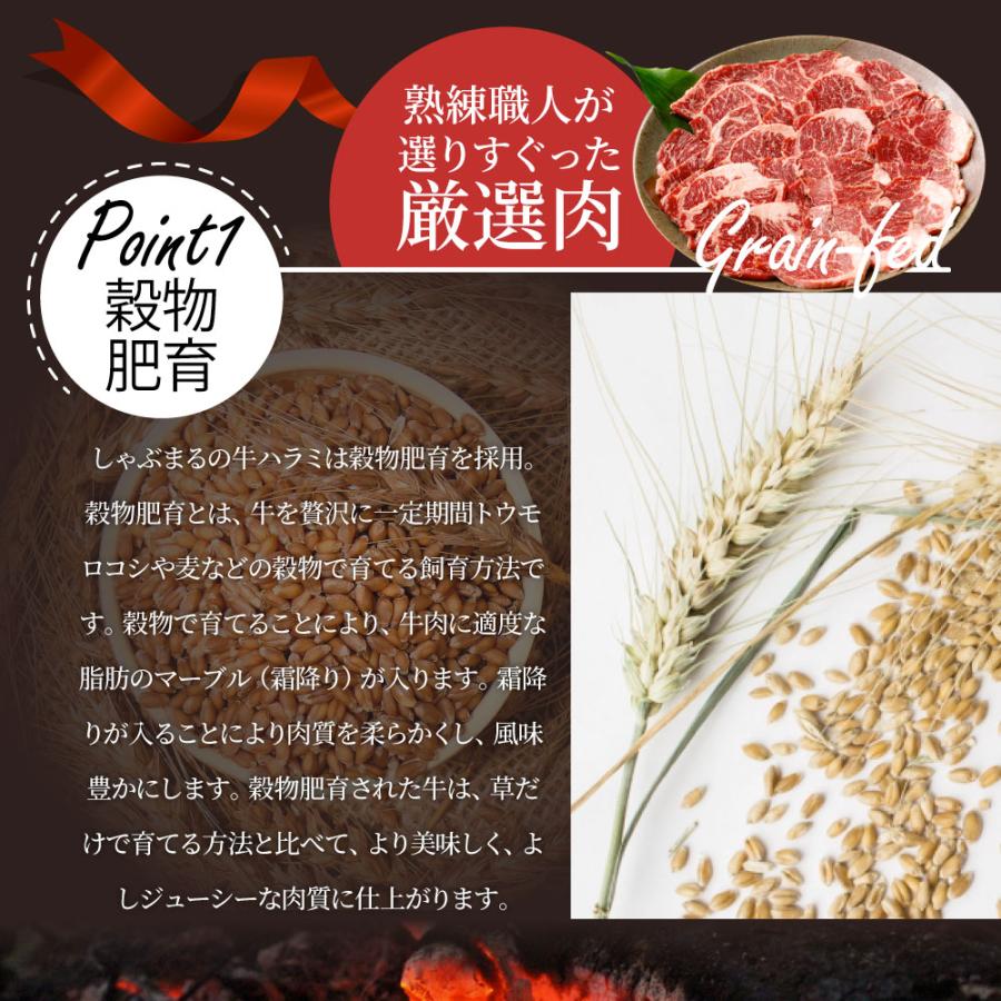 牛肉 肉 ハラミ 焼肉 2kg 250g×8P メガ盛り 赤身 はらみ バーベキュー 美味しい 食品 ギフト プレゼント お祝い 爆買 | しゃぶまる | 08