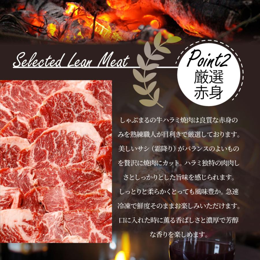 牛肉 肉 ハラミ 焼肉 2kg 250g×8P メガ盛り 赤身 はらみ バーベキュー 美味しい 食品 ギフト プレゼント お祝い 爆買 | しゃぶまる | 09