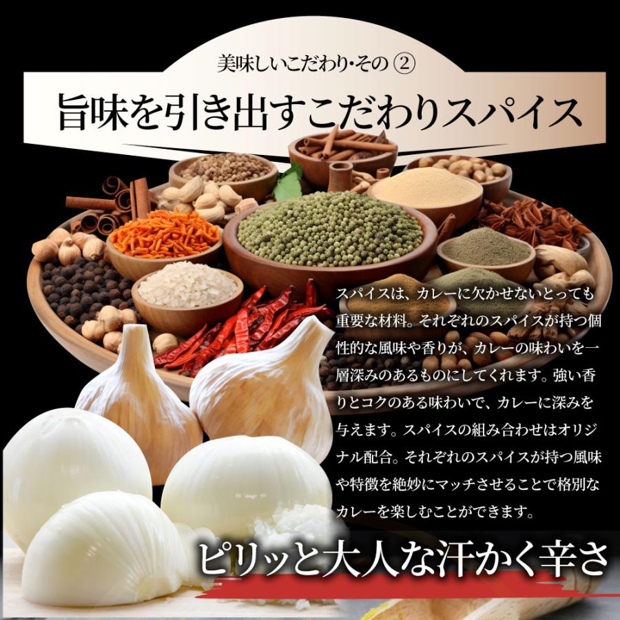 カレー ビーフカレー 200g×3食セット お肉屋さんが作った禁断のまかないビーフカレー 肉 牛肉 母の日 父の日 ギフト 食品 お祝い 牛スジ アキレス お取り寄せ｜syabumaru｜08