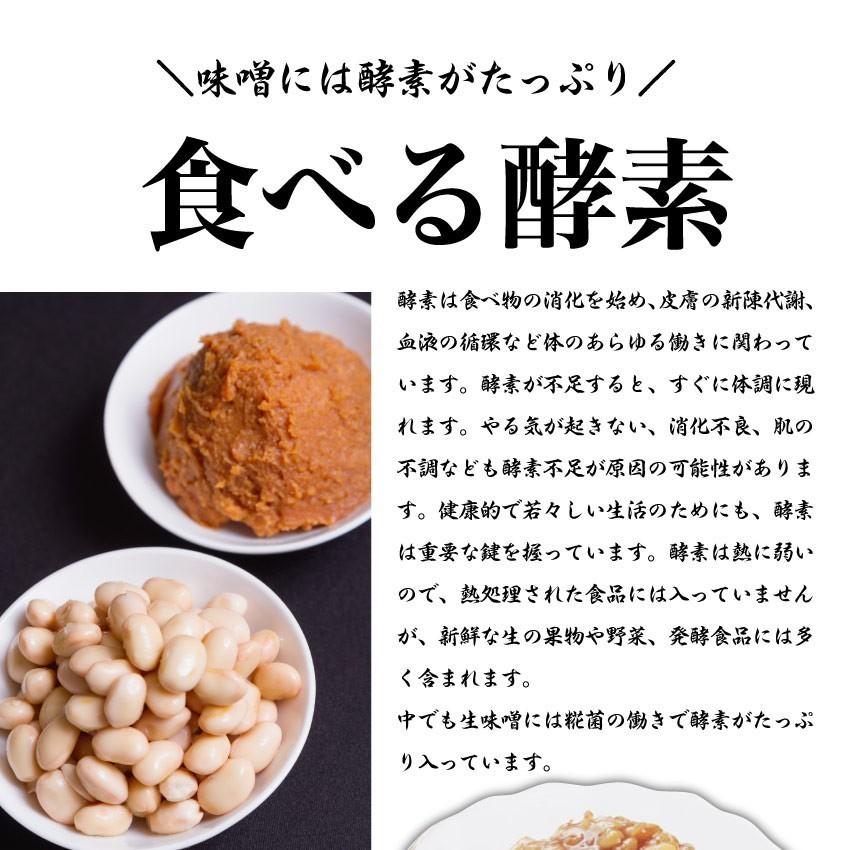 食べる味噌 ひしお 6個セット おかず味噌 もろみ 醤油の実 そのまま かけるだけ 万能調味料 食べる酵素 メール便｜syabumaru｜04