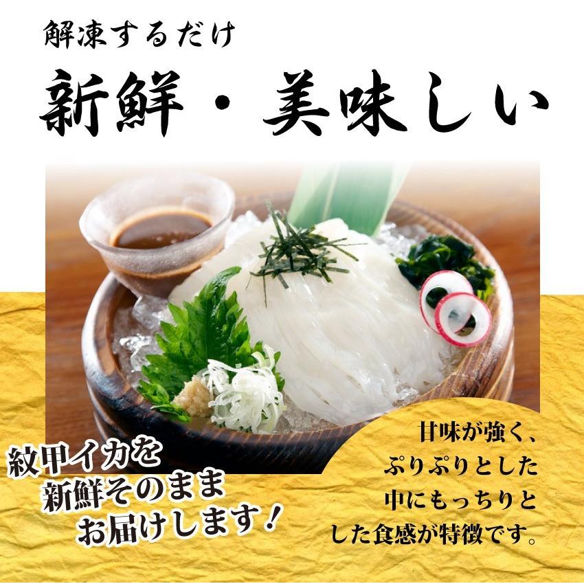 お刺身 紋甲イカソーメン 10個セット60g 10 わさび 醤油付き 魚 刺身 いか いかそうめん おかず 冷凍 当日発送対象 まとめ買い割引 お肉のしゃぶまる 通販 Paypayモール