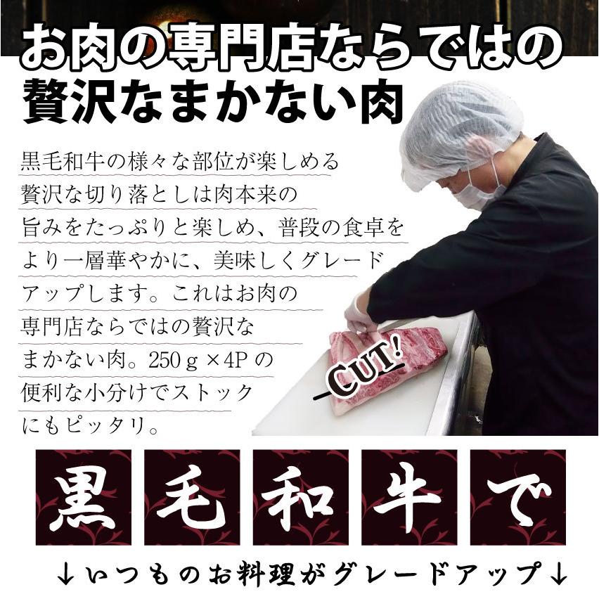 牛肉 肉 黒毛和牛 しゃぶしゃぶ すき焼き 贅沢 霜降り 切り落とし たっぷりメガ盛り 1.5kg(250×6p) 父の日 御中元 ギフト 食品 プレゼント お祝い お中元｜syabumaru｜03