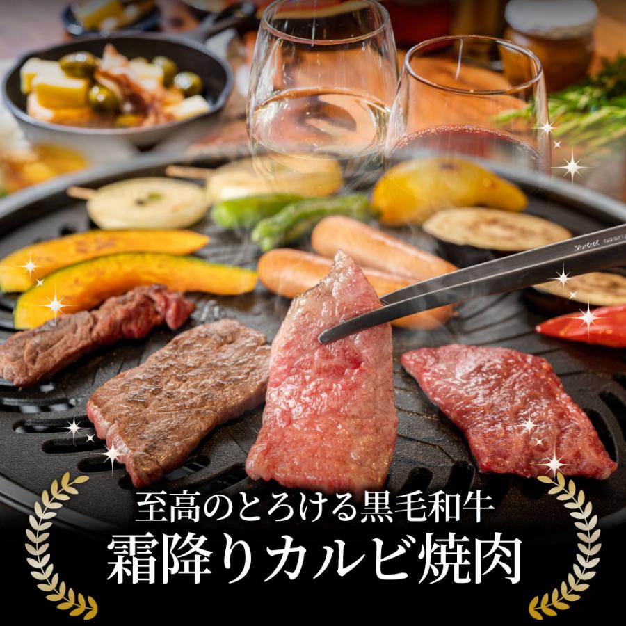 牛肉 肉 カルビ焼肉 2.5kg (250g×10) 今だけ焼肉のタレ付き 凍眠 テクニカン 黒毛和牛 A4,5等級 とろける 父の日 御中元 ギフト 食品 プレゼント 女性 男性｜syabumaru｜15