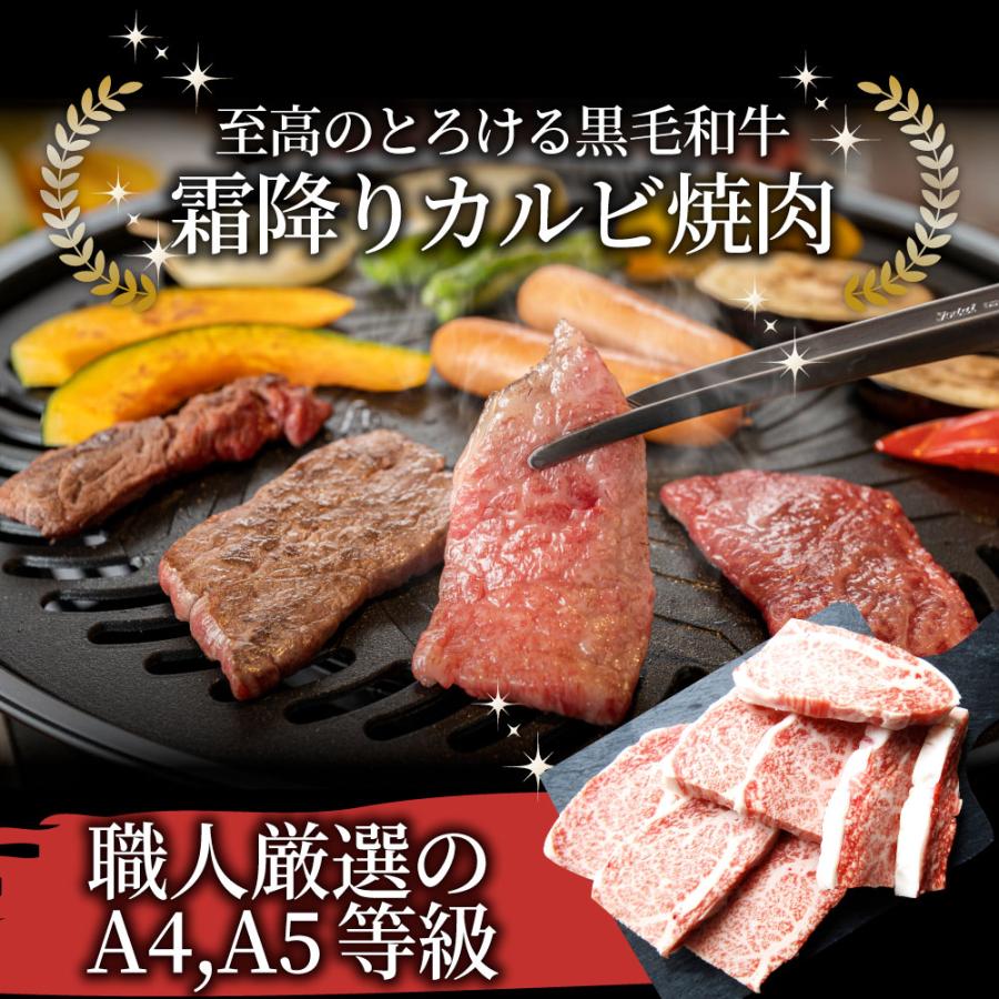 牛肉 肉 カルビ焼肉 2.5kg (250g×10) 今だけ焼肉のタレ付き 凍眠 テクニカン 黒毛和牛 A4,5等級 とろける 父の日 御中元 ギフト 食品 プレゼント 女性 男性｜syabumaru｜02