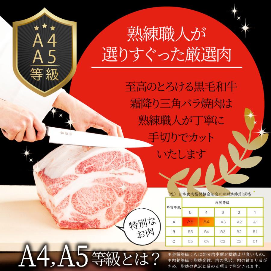 牛肉 肉 三角バラ カルビ焼肉 7.5kg (250g×30) 焼肉のタレ付き 凍眠 テクニカン 黒毛和牛 A4,5等級 とろける 食品 爆買の画像