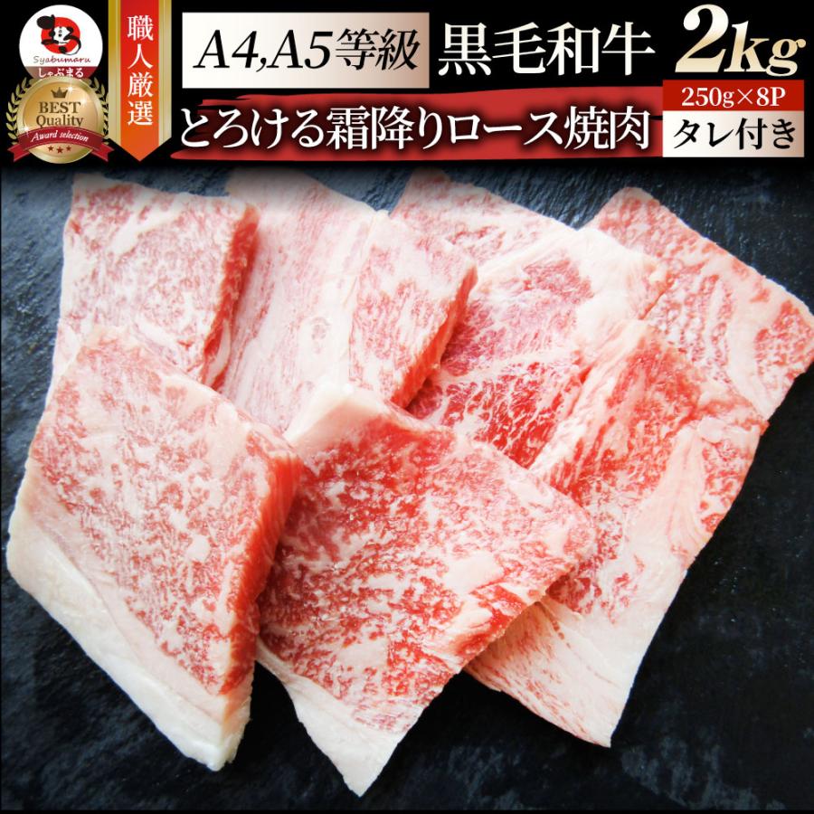 [リピート多数 本日発送 ] kg3-2kg (kg3-2kg)