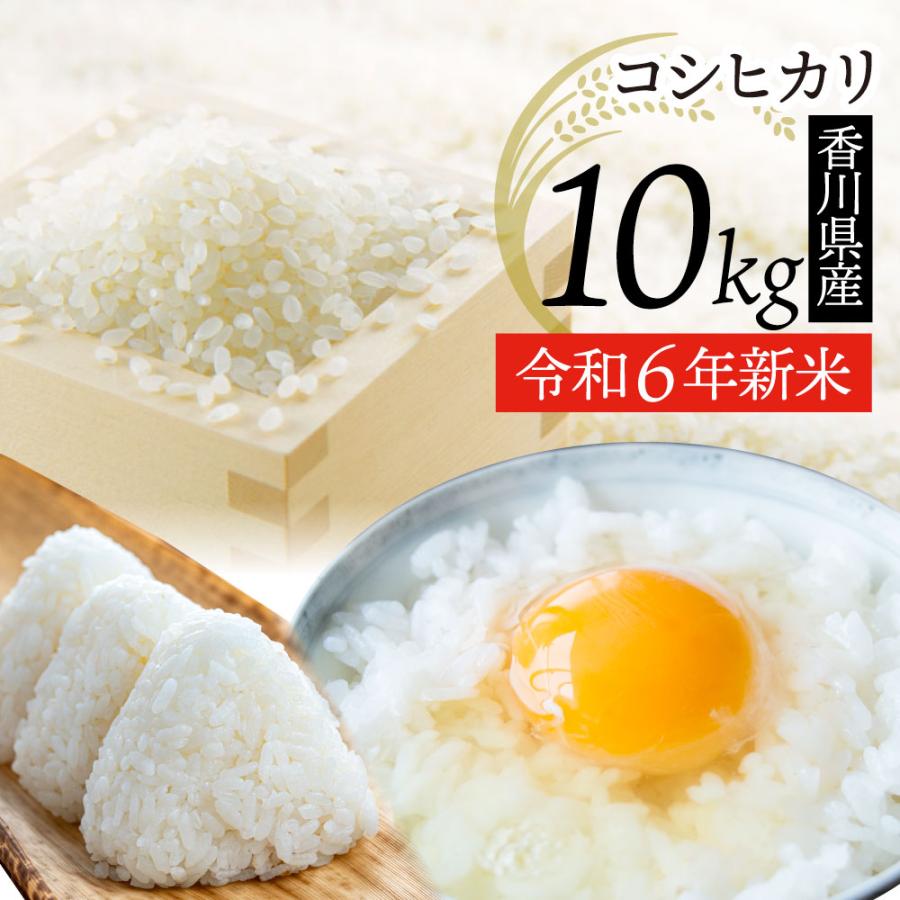コシヒカリ 令和6年度 新米 こしひかり 香川県産 10kg 讃岐米 コシヒカリ 令和6年度 新米 こしひかり 香川県産 10kg 讃岐米
