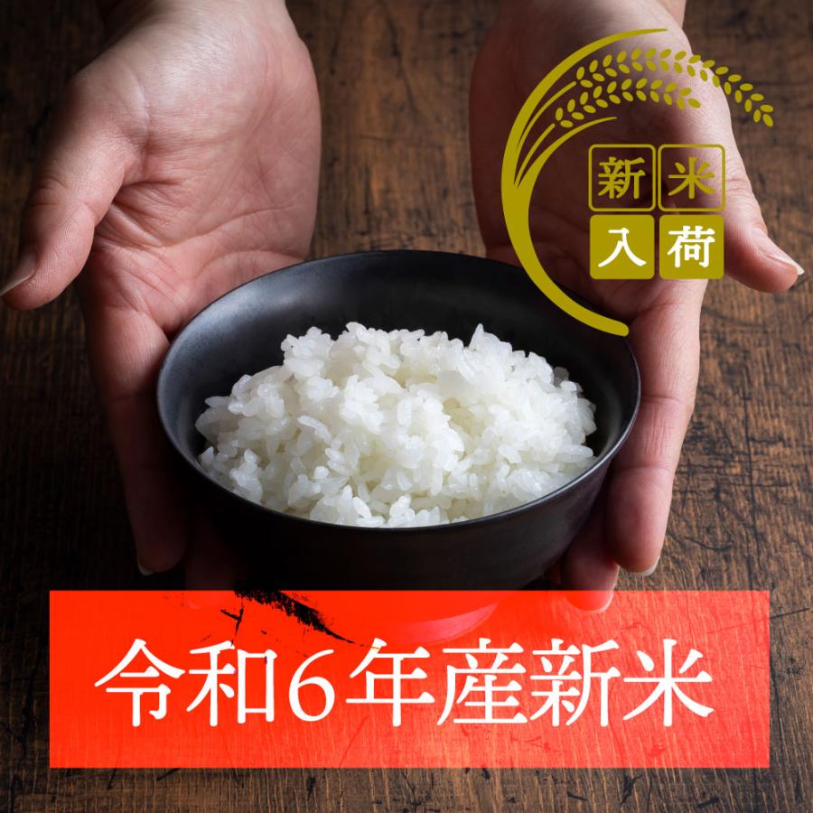 コシヒカリ 令和6年度 新米 こしひかり 香川県産 10kg 讃岐米 コシヒカリ 令和6年度 新米 こしひかり 香川県産 10kg 讃岐米