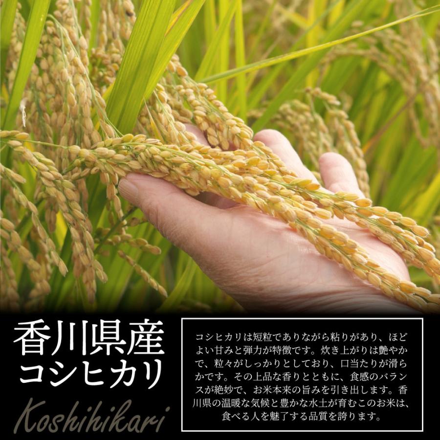 コシヒカリ 令和6年度 新米 こしひかり 香川県産 10kg 讃岐米 コシヒカリ 令和6年度 新米 こしひかり 香川県産 10kg 讃岐米