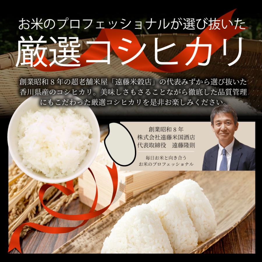 コシヒカリ 令和6年度 新米 こしひかり 香川県産 10kg 讃岐米 コシヒカリ 令和6年度 新米 こしひかり 香川県産 10kg 讃岐米