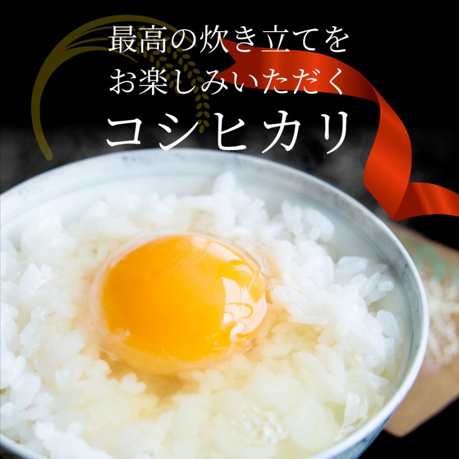 コシヒカリ 令和6年度 新米 こしひかり 香川県産 10kg 讃岐米 コシヒカリ 令和6年度 新米 こしひかり 香川県産 10kg 讃岐米