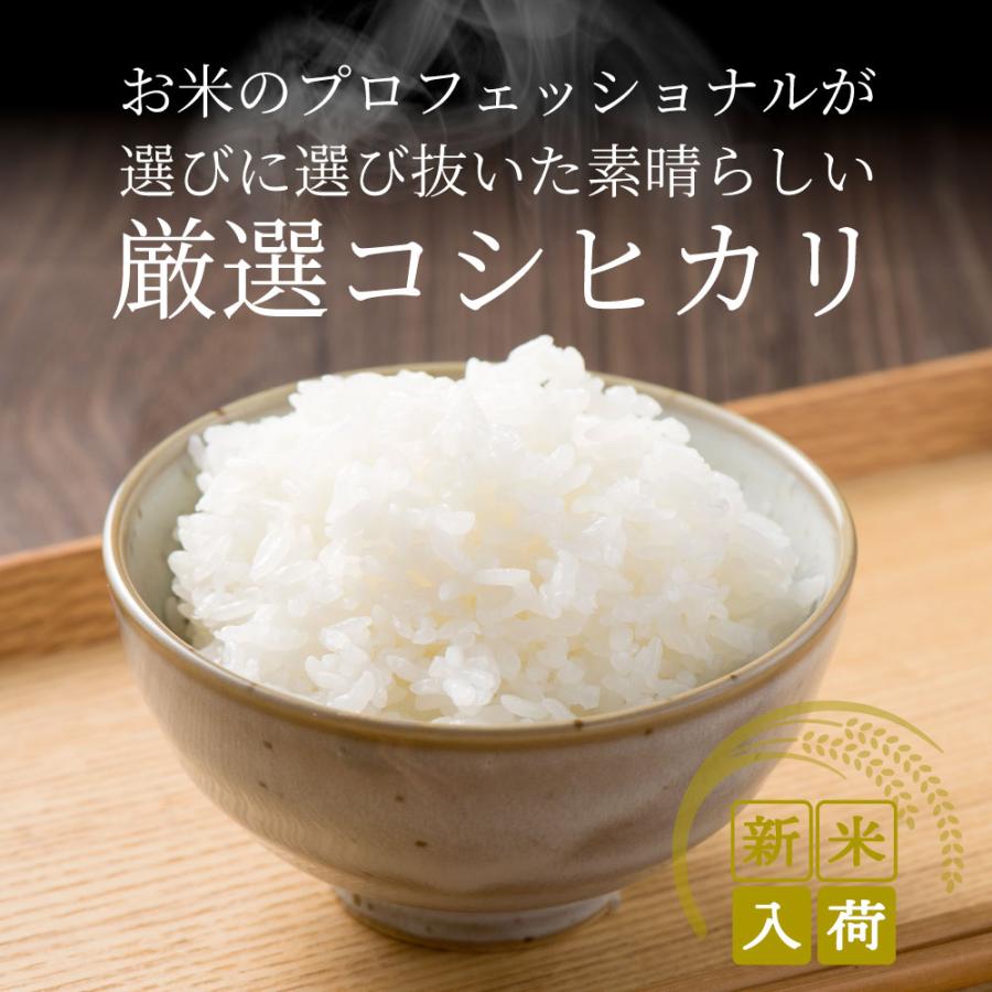 コシヒカリ 令和6年度 新米 こしひかり 香川県産 10kg 讃岐米 コシヒカリ 令和6年度 新米 こしひかり 香川県産 10kg 讃岐米