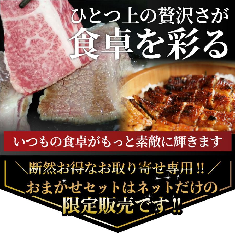 黒毛和牛 ＆ まるごと鰻 セット 4人前 焼肉のタレ 凍眠 テクニカン 肉 父の日 御中元 ギフト 食品 プレゼント うなぎ 黒毛和牛 カルビ 焼肉 A4 〜 A5等級｜syabumaru｜05