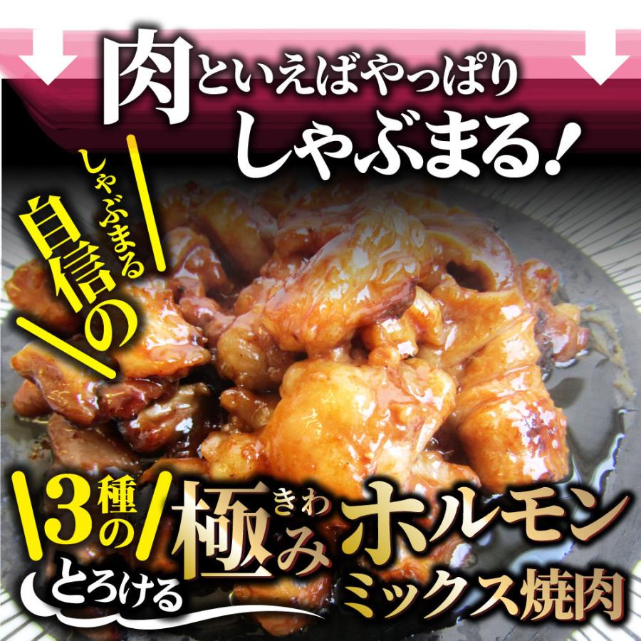 三種 ホルモン ミックス 焼肉 1kg（250ｇ×4パック）秘伝 タレ漬け バーベキュー BBQ 肉 焼くだけ 冷凍キャンプ キャンプ飯｜syabumaru｜13