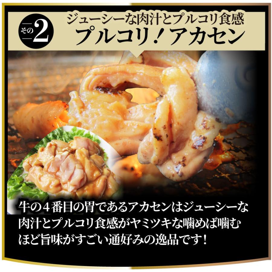 三種 ホルモン ミックス 焼肉 1kg（250ｇ×4パック）秘伝 タレ漬け バーベキュー BBQ 肉 焼くだけ 冷凍キャンプ キャンプ飯｜syabumaru｜08