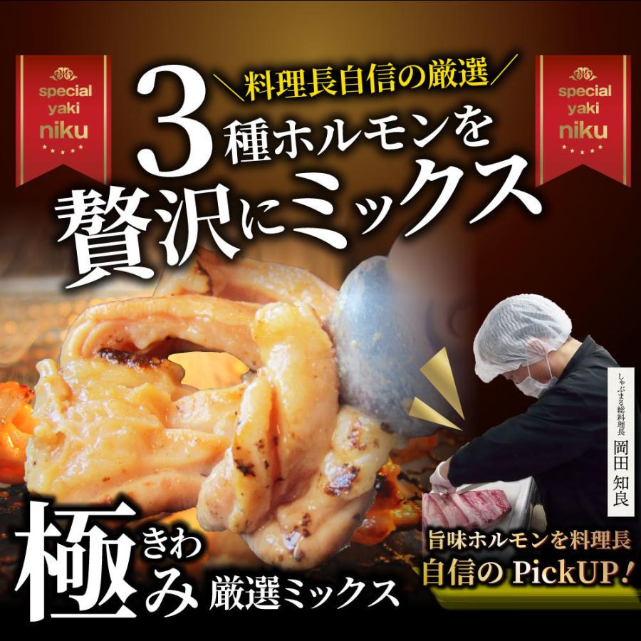 三種 ホルモン ミックス 焼肉 500g（250ｇ×2パック）秘伝 タレ漬け バーベキュー BBQ 肉 焼くだけ 冷凍キャンプ キャンプ飯｜syabumaru｜02