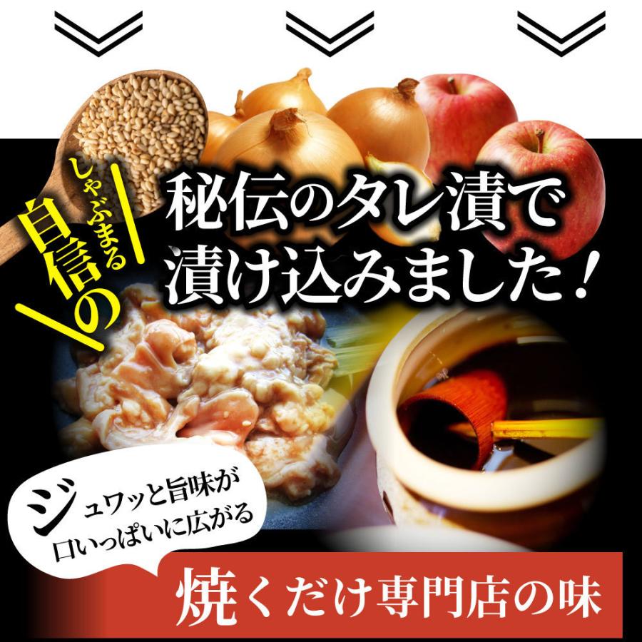 三種 ホルモン ミックス 焼肉 500g（250ｇ×2パック）秘伝 タレ漬け バーベキュー BBQ 肉 焼くだけ 冷凍キャンプ キャンプ飯｜syabumaru｜10