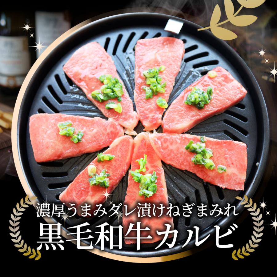 A4,A5等級 特選 黒毛和牛 カルビ焼肉 ねぎまみれ 味噌ダレ&塩ダレ 500g（250g×各1） 食べ比べ 牛肉 肉 母の日 父の日 ギフト 食品 お祝い 霜降り 黒毛｜syabumaru｜19