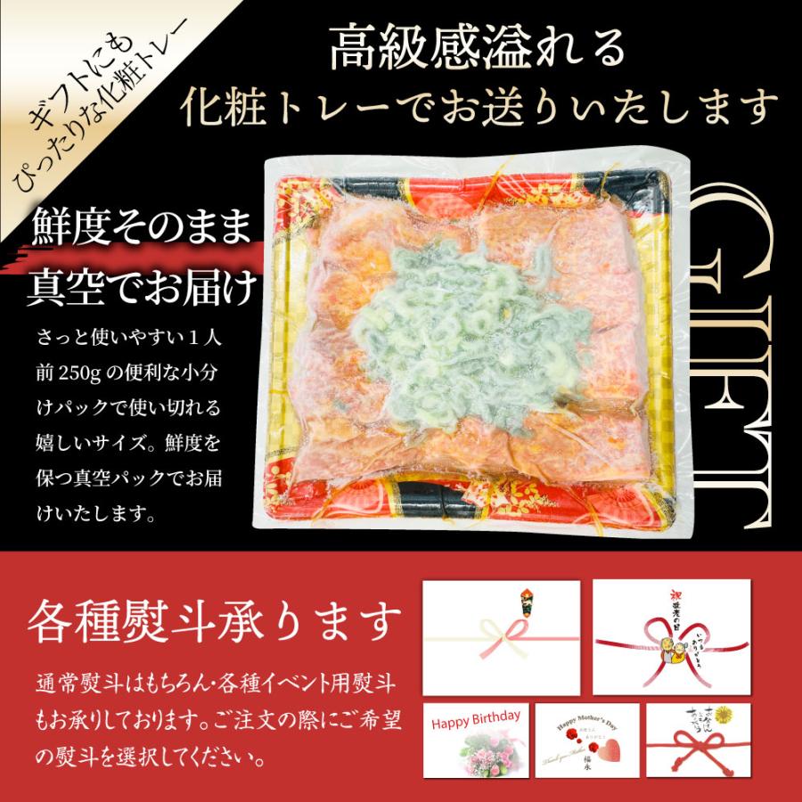 A4,A5等級 特選 黒毛和牛 カルビ焼肉 500g ねぎまみれ 旨辛味噌ダレ（ A4 〜 A5等級 ）牛肉 肉 母の日 父の日 ギフト 食品 お祝い 霜降り 贅沢 黒毛｜syabumaru｜17