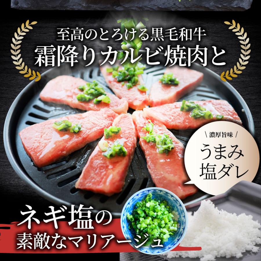 A4,A5等級 特選 黒毛和牛 カルビ焼肉 750g ねぎまみれ 旨塩ダレ（ A4 〜 A5等級 ）牛肉 肉 母の日 父の日 ギフト 食品 お祝い 霜降り 贅沢 黒毛｜syabumaru｜02